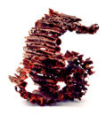 METAMORPHIC FORM II
